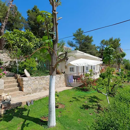 Flower Appartement Saranda