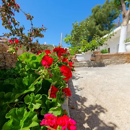 Flower Apartment