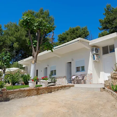 Flower Appartement Saranda