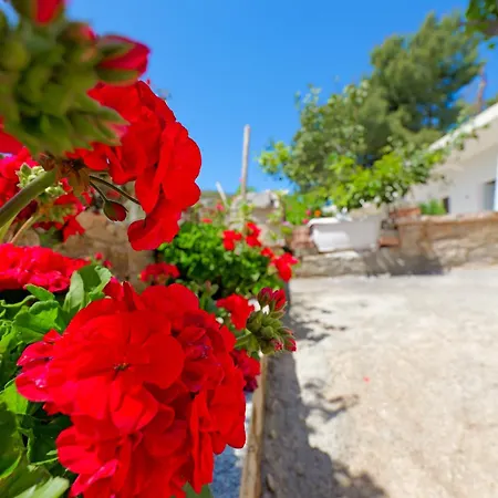 Flower Apartment Sarande