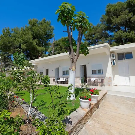 Flower Appartement *