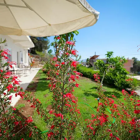 Appartement Flower *